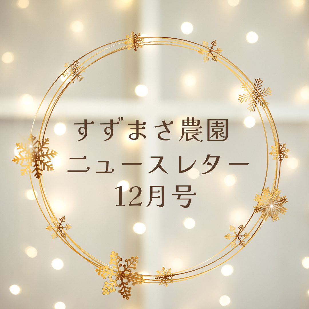 12月ニュースレター